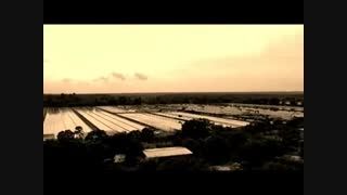 کارخانه کشت و پرورش جلبک خوراکی در هندوستان
