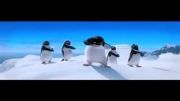 پنگوئن آوازخوان