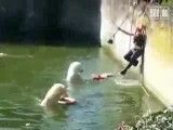 نجات دختر از قفس خرس ها