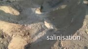 خاک، منبعی پنهان ! (Soils - A Hidden Resource)
