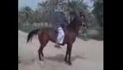 اسب عرب خالص اهواز- حمدانی وضحا (مرحوم ابو کریم صیاحی)