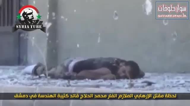کشتن داعشی موش مرده توسط تک تیرانداز هوشیار ارتش سوریه!