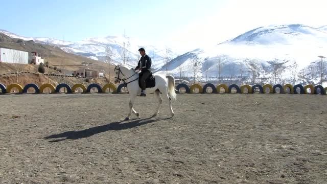 سزار کردستان