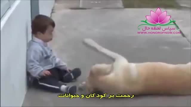 مهربانی بین سگ و کودک
