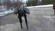 ربات کمک کننده در بلایا