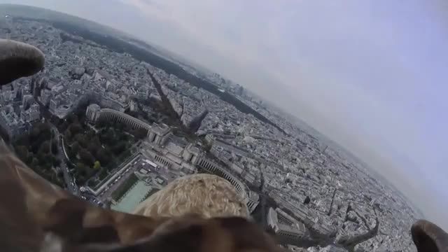 پاریس را از دیدگاه یک عقاب ببینید