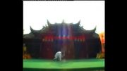 نمایش وودانگ تای جی توسط استاد بزرگ یو شوان دوو