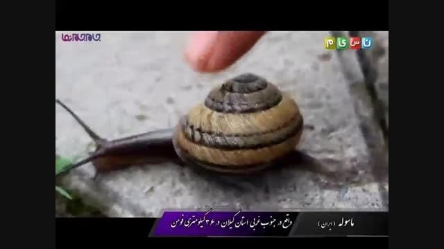ماسوله شهر تاریخی توریستی ایران+فیلم کلیپ گلچین صفاسا