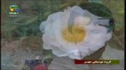 اجرای گروه موسیقی مهر سیاهکل در شبکه جام جم-بخش اول