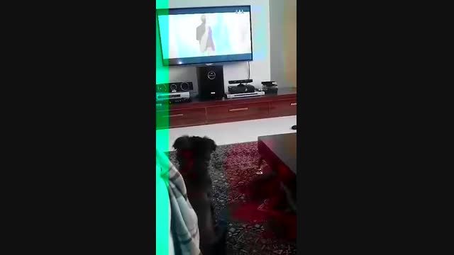سگمون تلوزیون خیلی دوس داره...