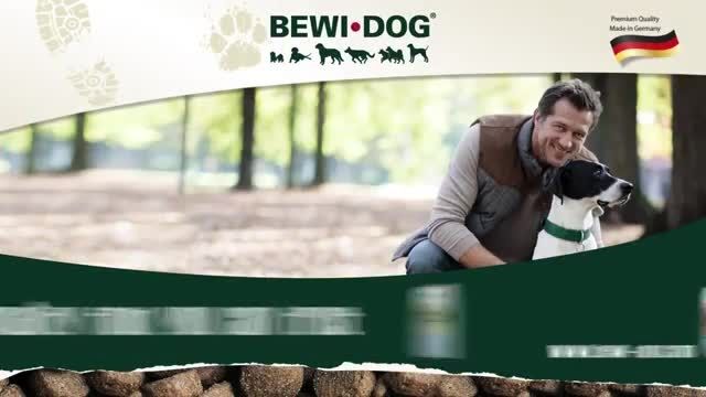 غذای سگ بوی داگ Bewi Dog