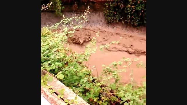 ایزدشهر - بارش باران و طغیان رودخانه