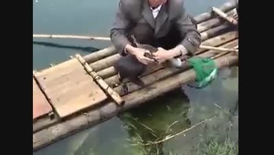 ماهیگیری با کمک پرندگان