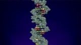 ساختارDNA    (فارسی)           [-www.zist-golestan.blogfa.com-]