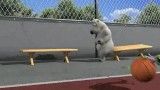 برنارد خرس قطبی | فصل یک قسمت شانزده