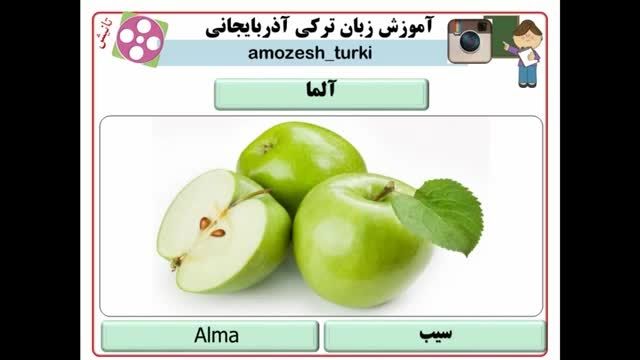 اسامی میوه ها در زبان ترکی آذربایجانی - قسمت اول