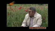 مستند حاج رحیم نوعی اقدم