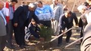 افتتاح طرحهای منابع طبیعی و کشت 15000 اصله نهال در تیران و کرون