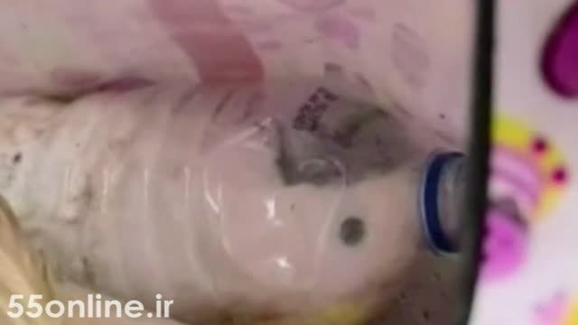 روش وحشتناک قاچاق پرندگان زندانی داخل بطری آب