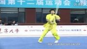 ووشو ، مسابقات داخلی چین فینال گوون شو ، مقام دوم ، وان سشی