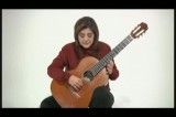 گیتار - دکتر لیلی افشار