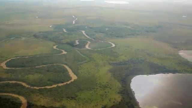 حفاظت از ماکائوی گردن آبی در کشور بولیوی