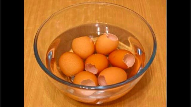 طرز درست کردن ژله ی تخم مرغی
