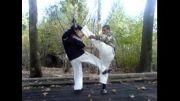کیوکوشین کان کاراته ایران