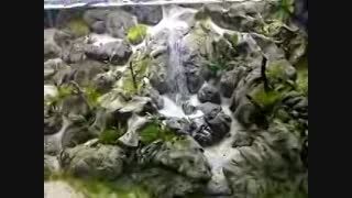 آبشار در آکواریوم - Hamed20
