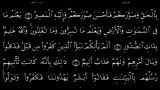 القرآن الکریم - 64 - سورة التغابن - سعد الغامدی
