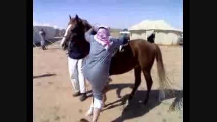 سواری ندادن اسب به عرب.خنده دار