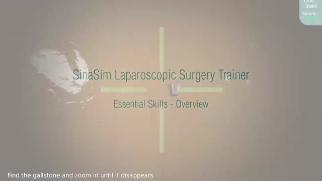 Laparoscopy Essential Skills Training With SinaSim