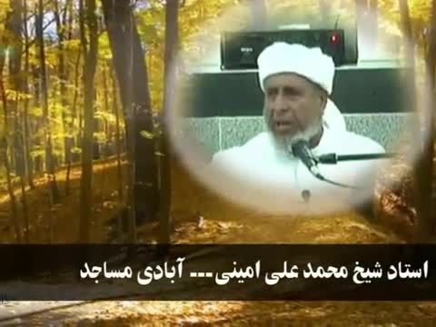 استاد شیخ محمد علی امینی ....آبادی مساجد