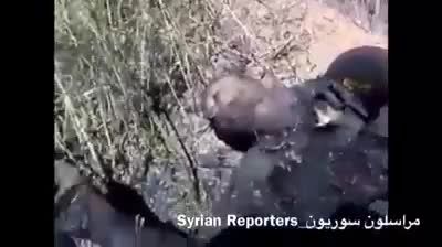 ذغال شدن تروریست ها توسط آتش جنگنده سوری
