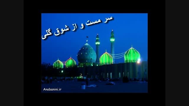 سید علی ساداتی-واحد امام زمان(عج)