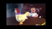 واکنش دیدنی بچه به تخم گذاشتن مرغ