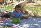 حاج عرشیا بچه 2 ساله در حال نماز خواندن