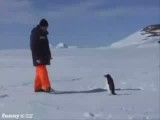 نزدیک پنگوئن نشوید!!!!
