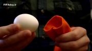 روش خلاقانه پختن تخم مرغ به رنگ طلایی