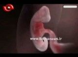 فیلمی زیبا از مراحل تشکیل جنین انسان