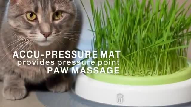 محصولات سری Catit Design Senses  هاگن کانادا مخصوص گربه