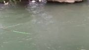 ماهیگیری در رودخانه هراز