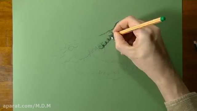 Drawing a cool Crocodile - Time Lapse Art Video