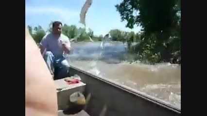 ماهی در رودخانه