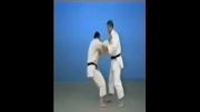 De Ashi Barai - 65 Throws of Kodokan Judo