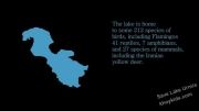 Save Lake Urmia