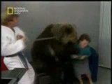 حمله خرس در برنامه تلویزیونی
