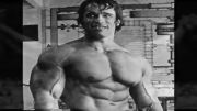 Arnold(IRON MAN)1