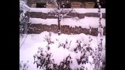 بارش نیم متری و سنگین برف در کلیبر
