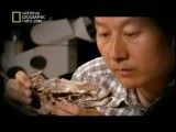 مستند تله ی مرگ دایناسور - National Geographic Dino Death Trar